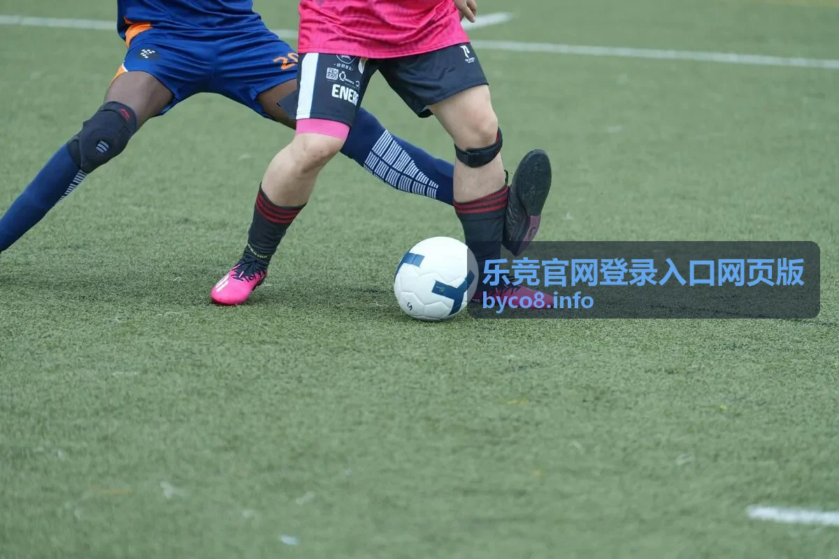 乐竞安全指南栏目入口图片